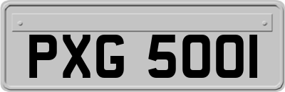 PXG5001