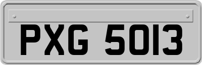 PXG5013