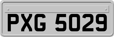 PXG5029