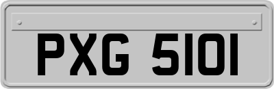 PXG5101