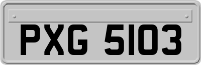 PXG5103