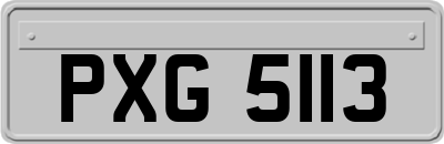 PXG5113