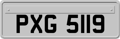 PXG5119