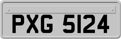 PXG5124