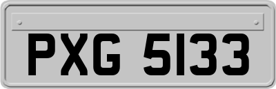 PXG5133