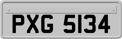 PXG5134