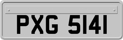 PXG5141