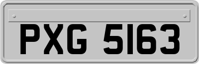 PXG5163