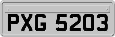 PXG5203