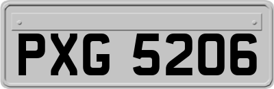 PXG5206