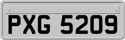 PXG5209