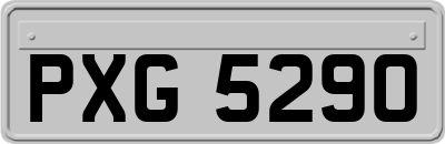 PXG5290