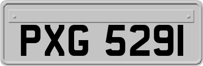 PXG5291