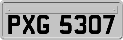 PXG5307