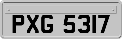 PXG5317