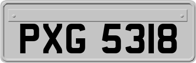 PXG5318