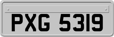 PXG5319