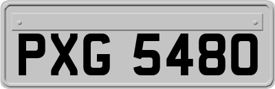 PXG5480