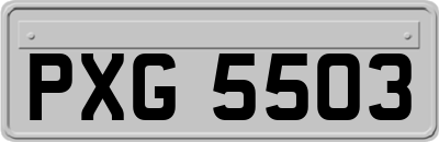 PXG5503