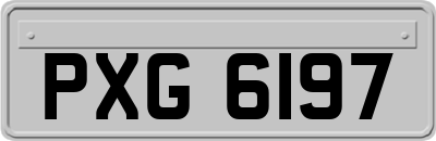 PXG6197