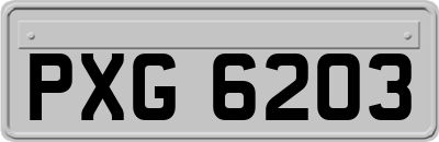 PXG6203