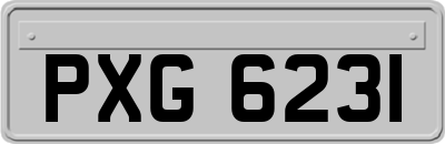 PXG6231