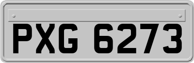 PXG6273