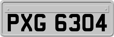 PXG6304