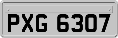 PXG6307