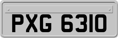 PXG6310