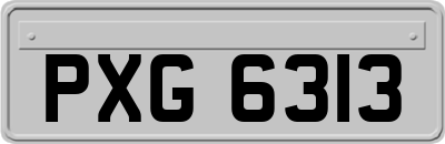 PXG6313