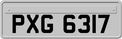 PXG6317