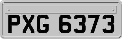 PXG6373