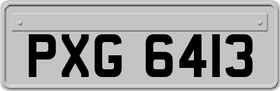 PXG6413