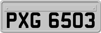 PXG6503