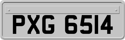 PXG6514