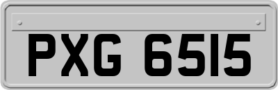 PXG6515