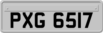 PXG6517