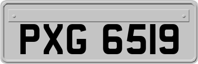 PXG6519