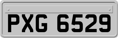 PXG6529