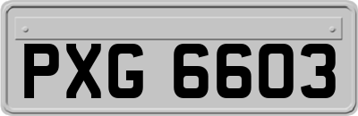 PXG6603