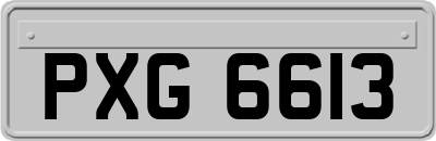 PXG6613