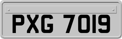 PXG7019