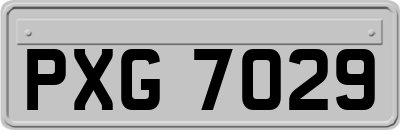 PXG7029