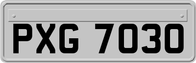 PXG7030