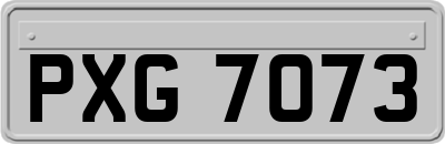 PXG7073