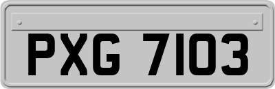 PXG7103