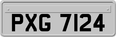 PXG7124