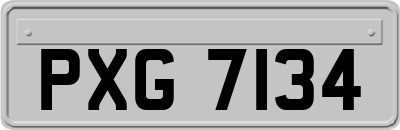 PXG7134