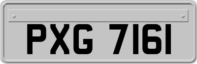 PXG7161